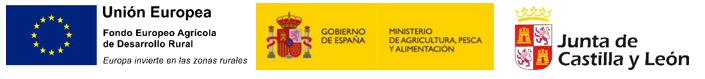 BANER LOGOS EUROPA