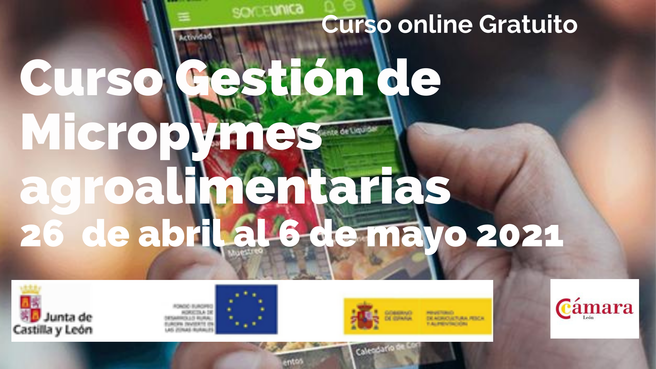 gestion micripymes
