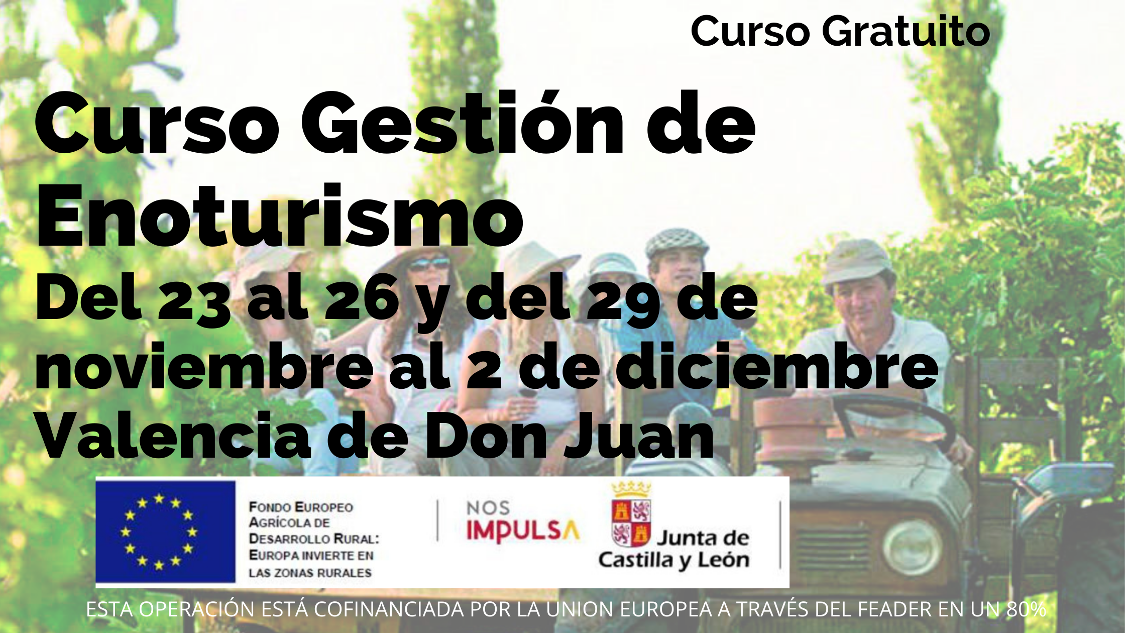 Cartel curso enoturismo web