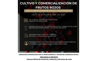 CURSO GRATUITO EN PONFERRADA. CULTIVO Y COMERCIALIZACIÓN DE FRUTOS ROJOS
