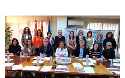 Reunión del Comité Técnico de la red de Cámaras de Castilla y León