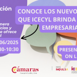 jornada ICECYL Cámara de Comercio de León