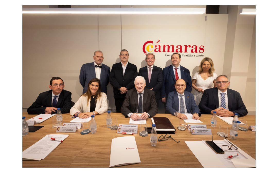 Manifiesto de las Cámaras de Comercio de Castilla y León contra la supresión de las paradas de AVE en Segovia, Medina del Campo y Puebla de Sanabria