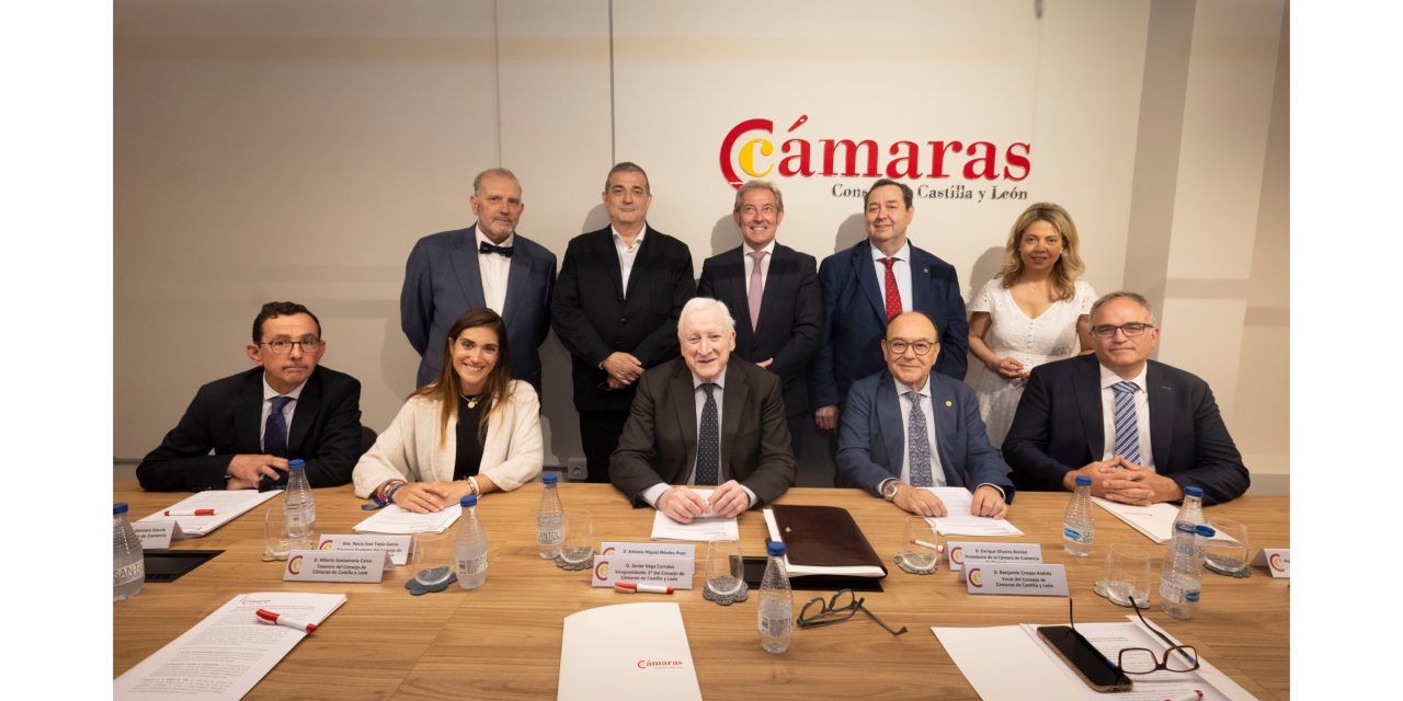 Manifiesto de las Cámaras de Comercio de Castilla y León contra la supresión de las paradas de AVE en Segovia, Medina del Campo y Puebla de Sanabria
