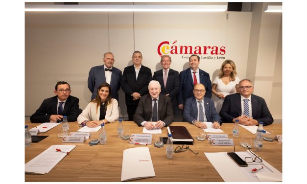 Manifiesto de las Cámaras de Comercio de Castilla y León contra la supresión de las paradas de AVE en Segovia, Medina del Campo y Puebla de Sanabria