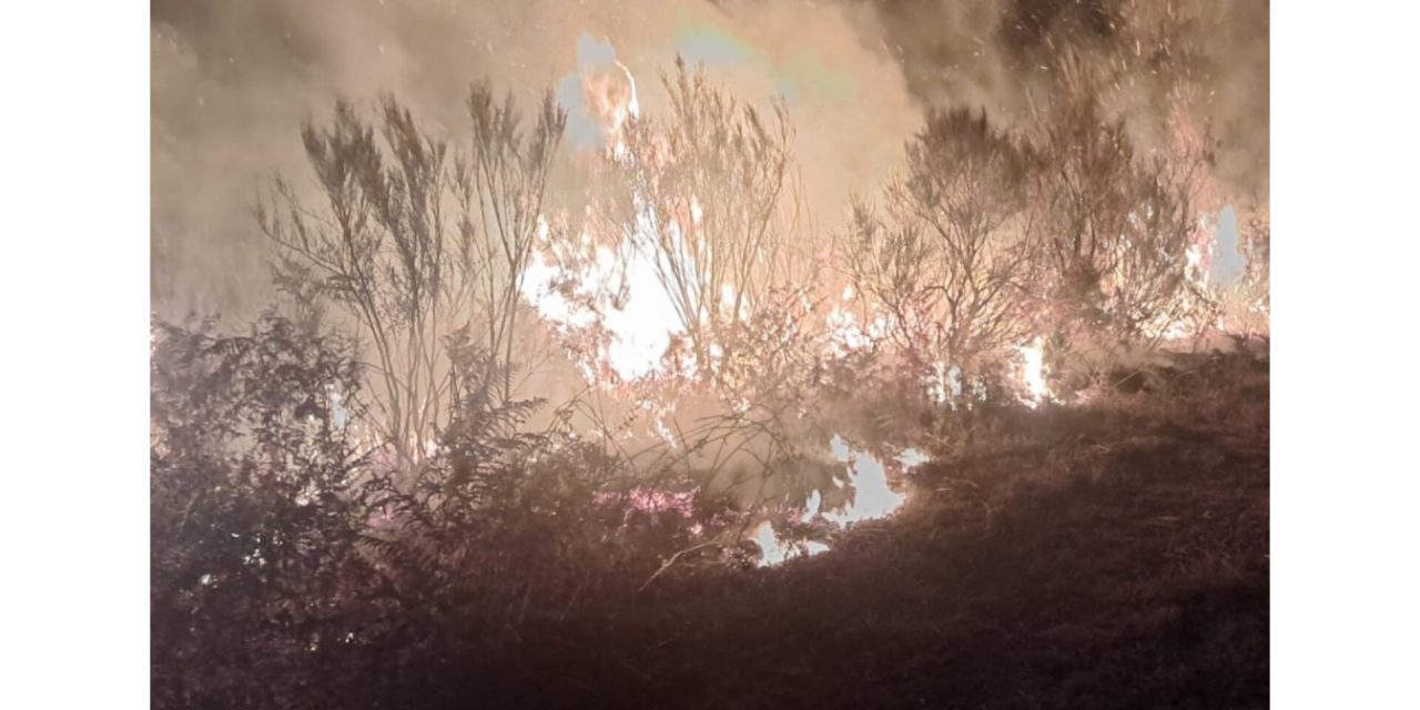 SOLIDARIDAD CON LOS AFECTADOS POR LOS INCENDIOS