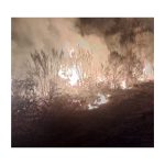 SOLIDARIDAD CON LOS AFECTADOS POR LOS INCENDIOS
