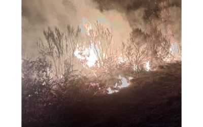 SOLIDARIDAD CON LOS AFECTADOS POR LOS INCENDIOS
