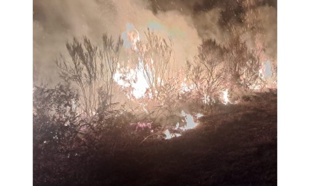 SOLIDARIDAD CON LOS AFECTADOS POR LOS INCENDIOS