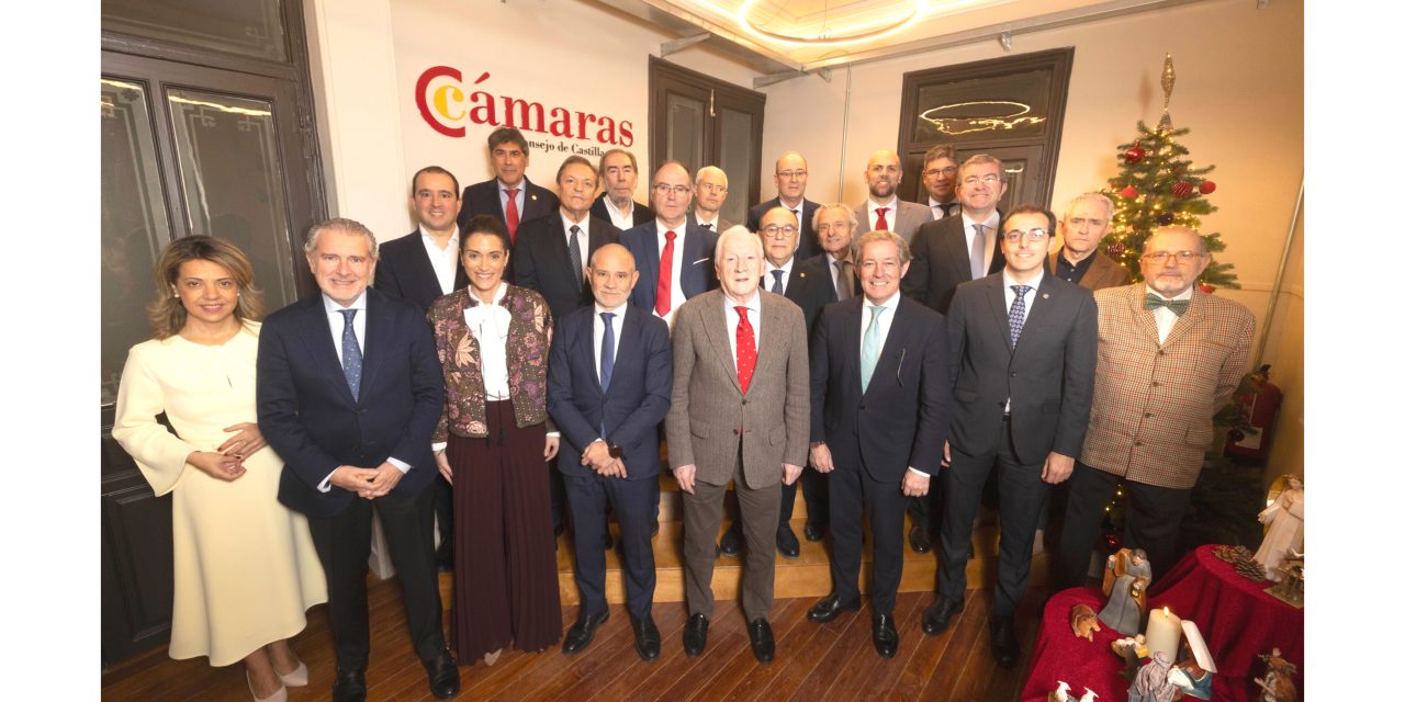 Pleno del Consejo de Cámaras de Castilla y León