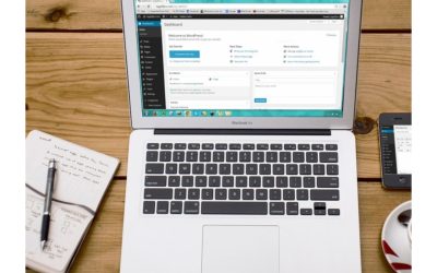 Encuesta de Perspectivas Empresariales